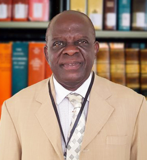 Prof Joshua Ayarkwa